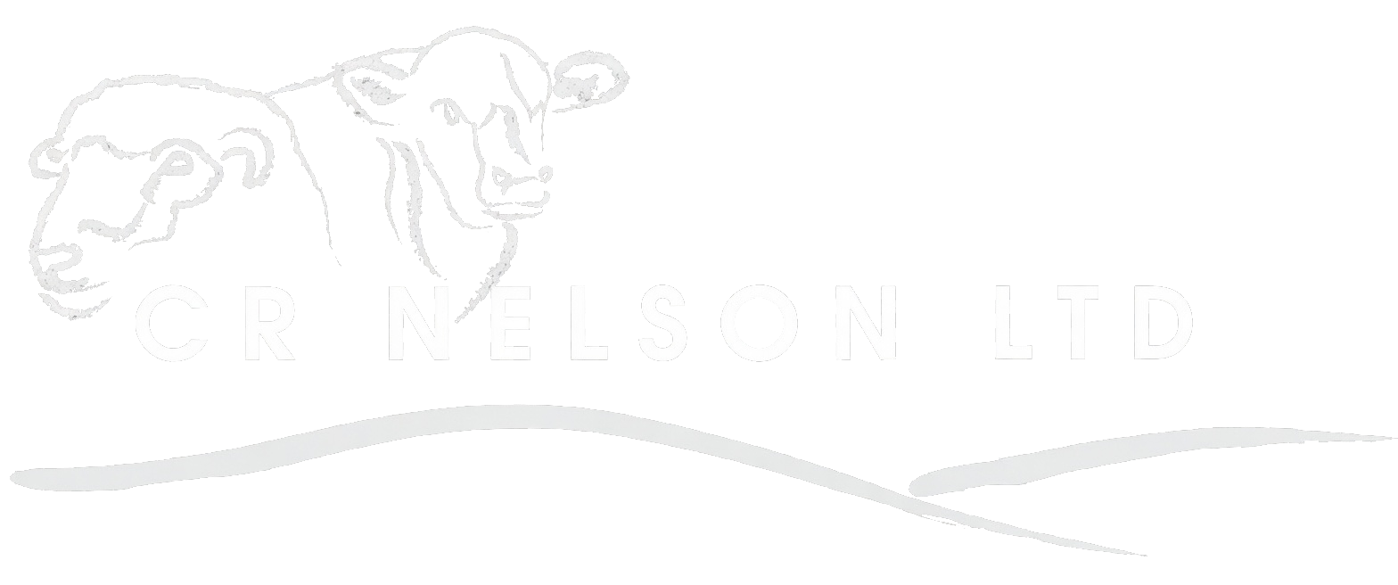 newlogo-trans